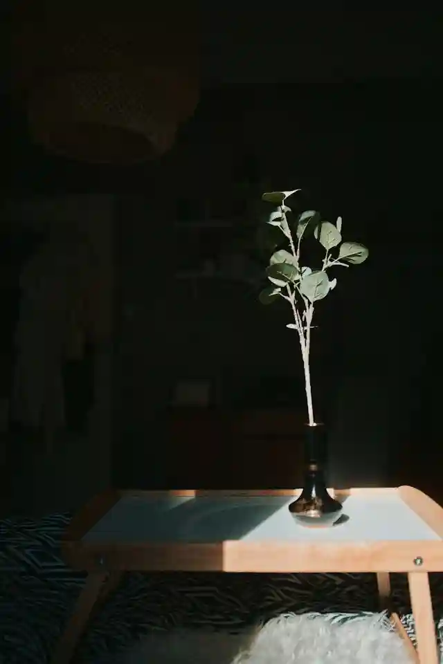image of something 5